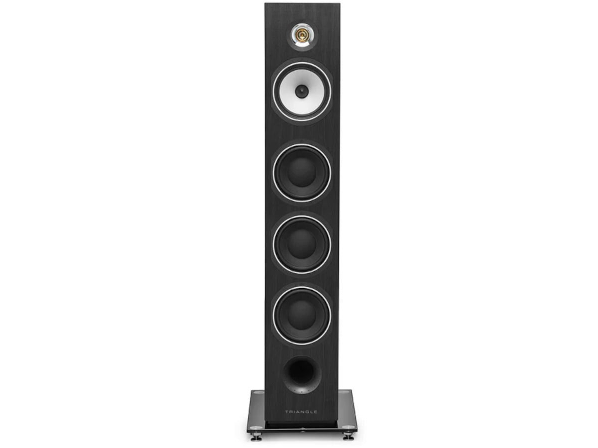 triangle australe ez Frêne Noir Face avant