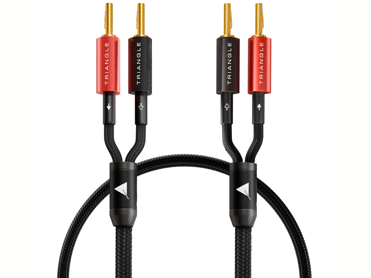 TRIANGLE BLACK Câble d'enceintes monté 1