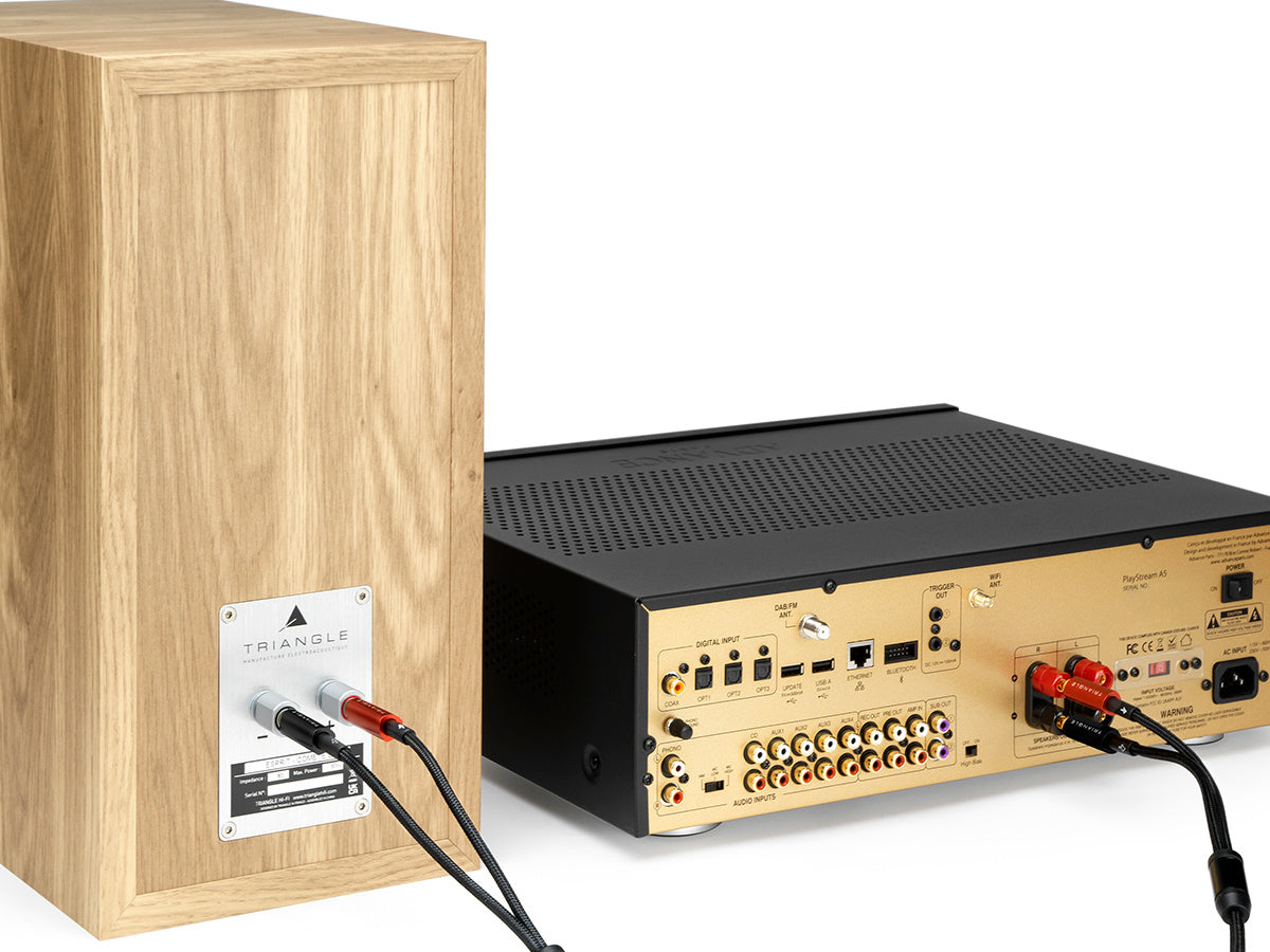 TRIANGLE BLACK Câble d'enceintes monté 5