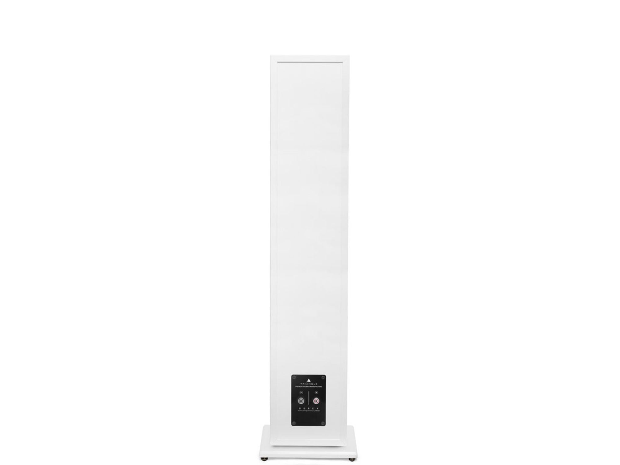 TRIANGLE BOREA BR08 Blanc connectique