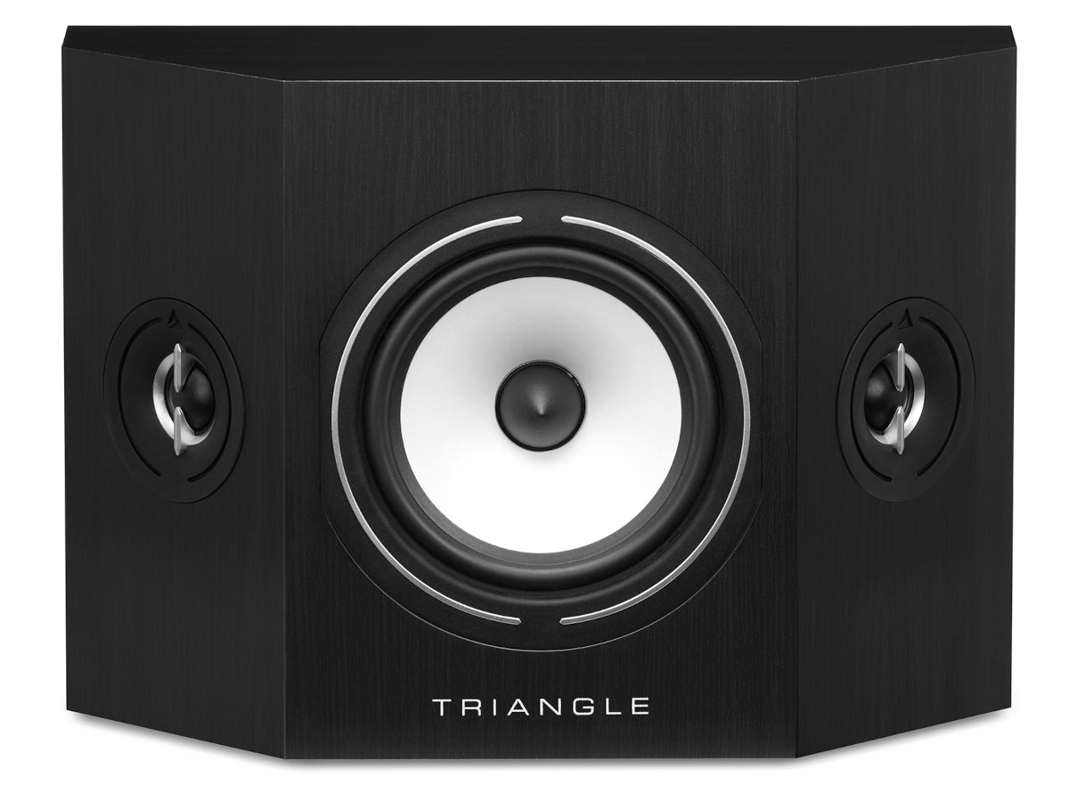 triangle brs1 frêne noir_3