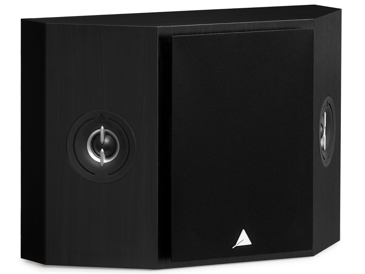 triangle brs1 frêne noir_4