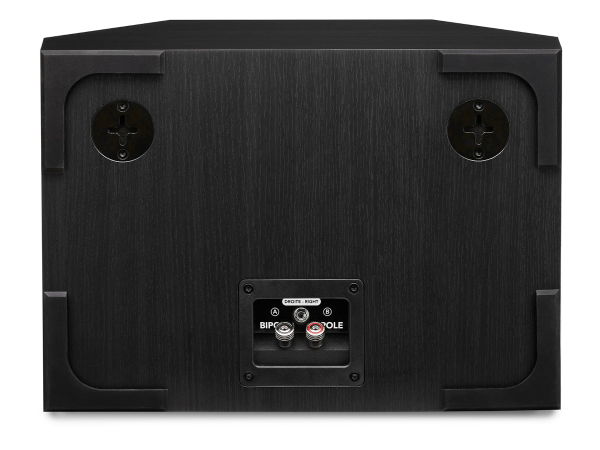 triangle brs1 frêne noir arrière