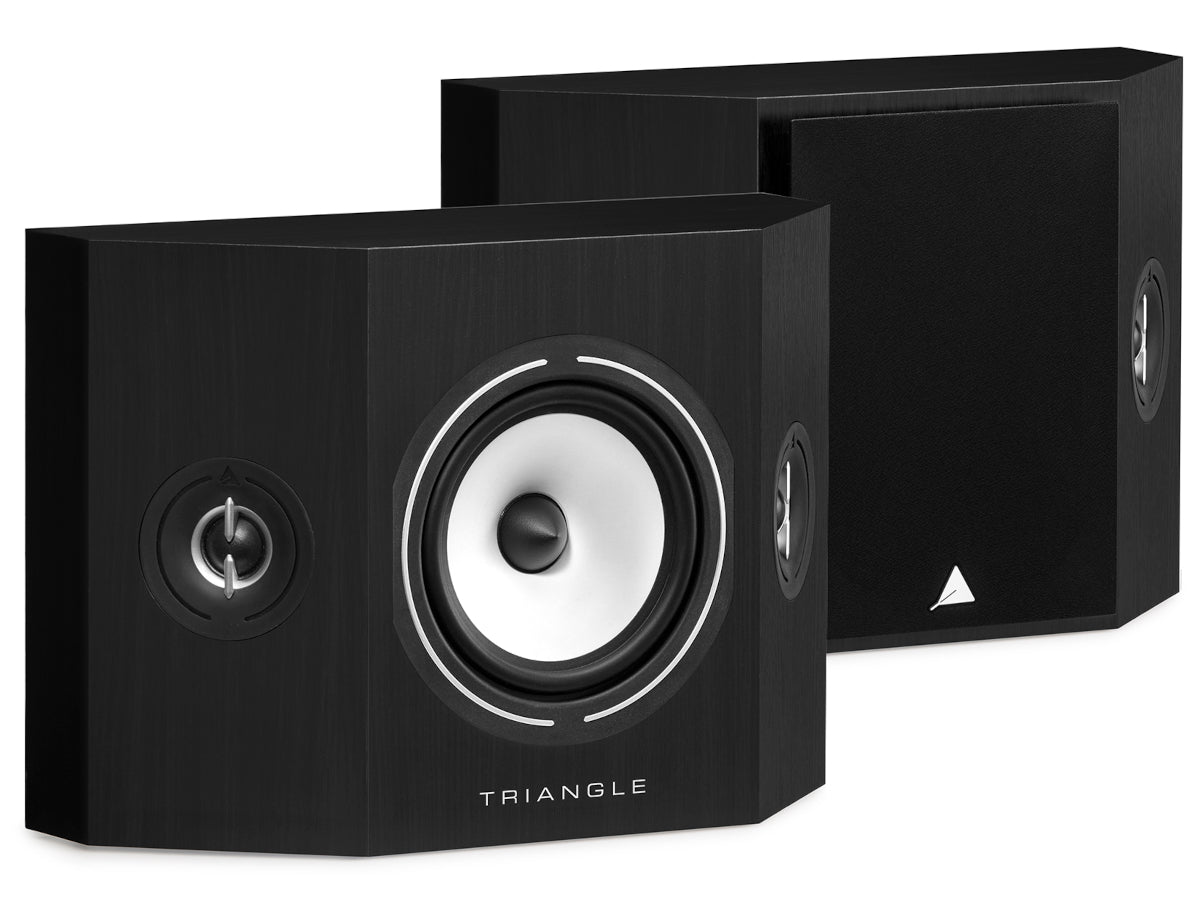 triangle brs1 frêne noir