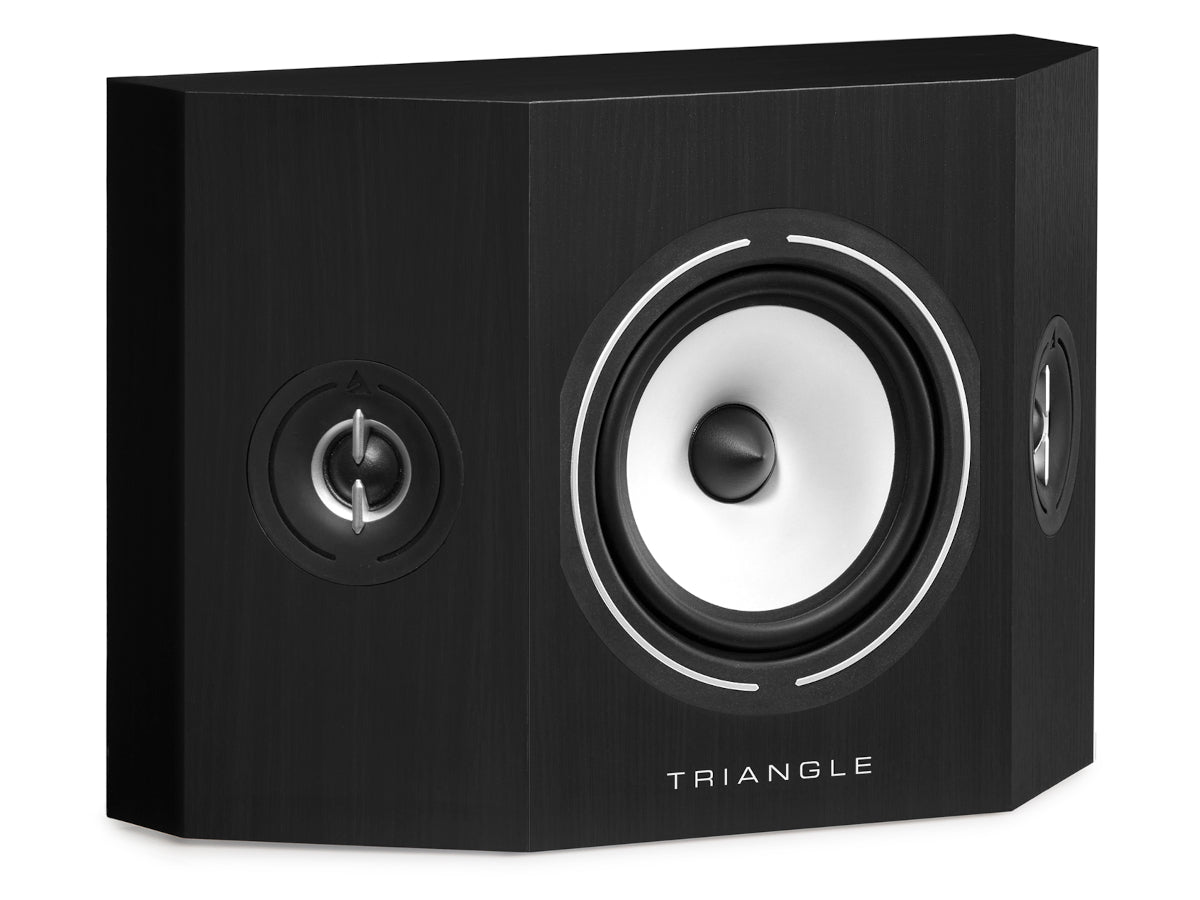 triangle brs1 frêne noir_2