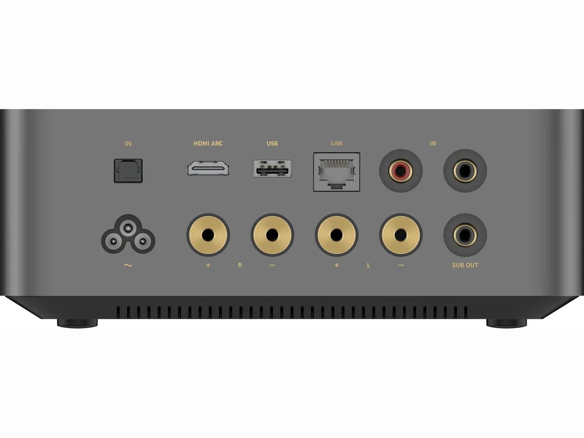 WiiM Amp Ultra Space Grey connectique
