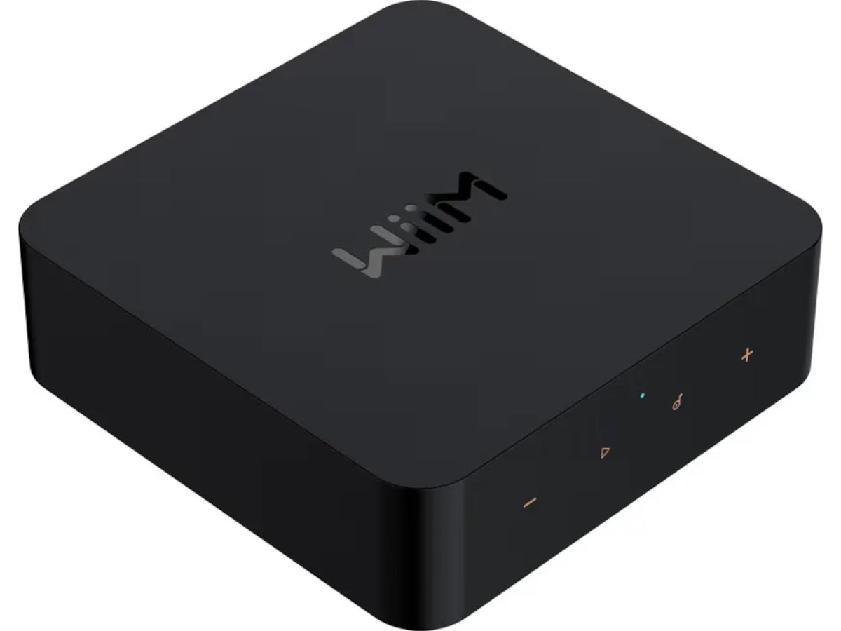 WIIM Pro