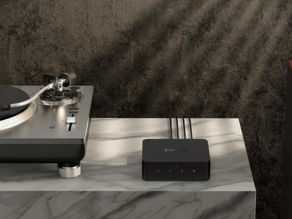 WIIM Pro