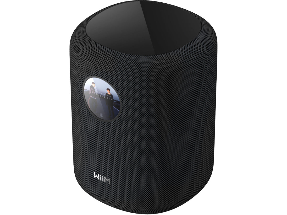 WiiM Sound (Display) Noir
