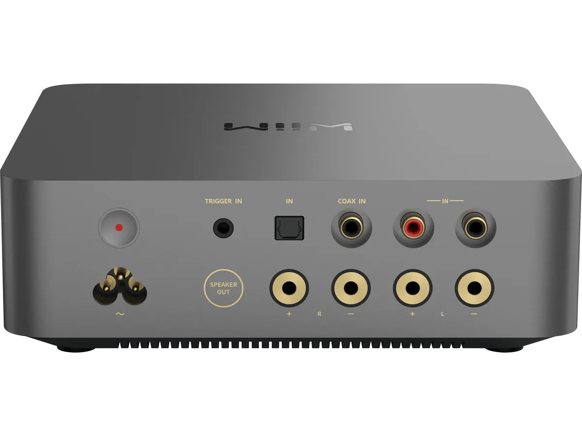WIIM Vibelink Amp