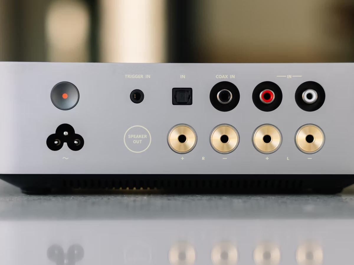 WIIM Vibelink Amp