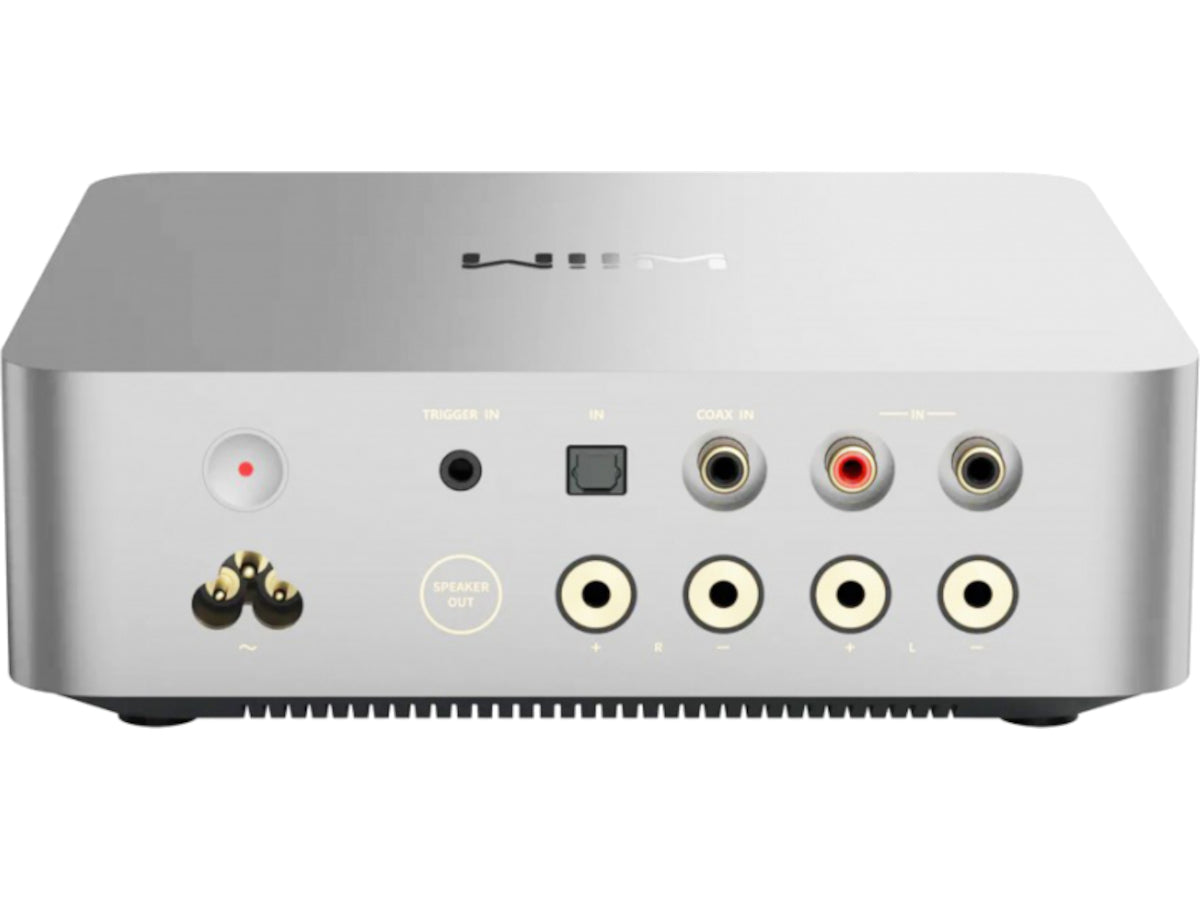 Wiim Vibelink Amp Silver connectique