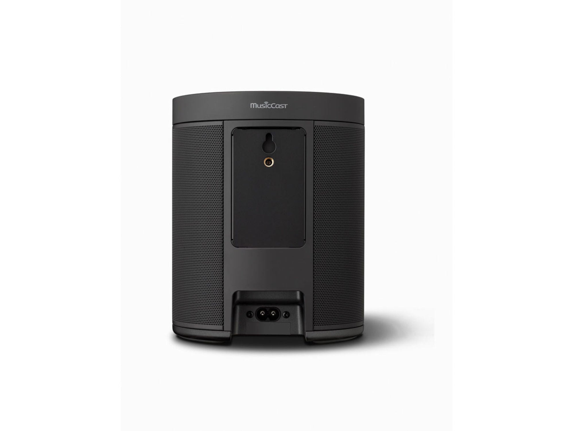 YAMAHA MusicCast 20 (WX-021)