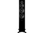 DYNAUDIO EVOKE 50 Black High Gloss (la paire)