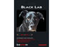 AUDIOQUEST Black Lab (2m)