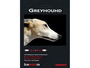 AUDIOQUEST Greyhound (12m)