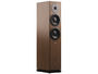 DYNAUDIO CONTOUR LEGACY (la paire)