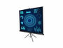 LUMENE ARCADIA 170 TRIPOD SCREEN (1:1)