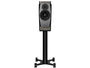 DYNAUDIO CONFIDENCE 20 Smoke (la paire) - Stand Inclus