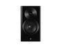 DYNAUDIO FOCUS 10 Black High Gloss (la paire)