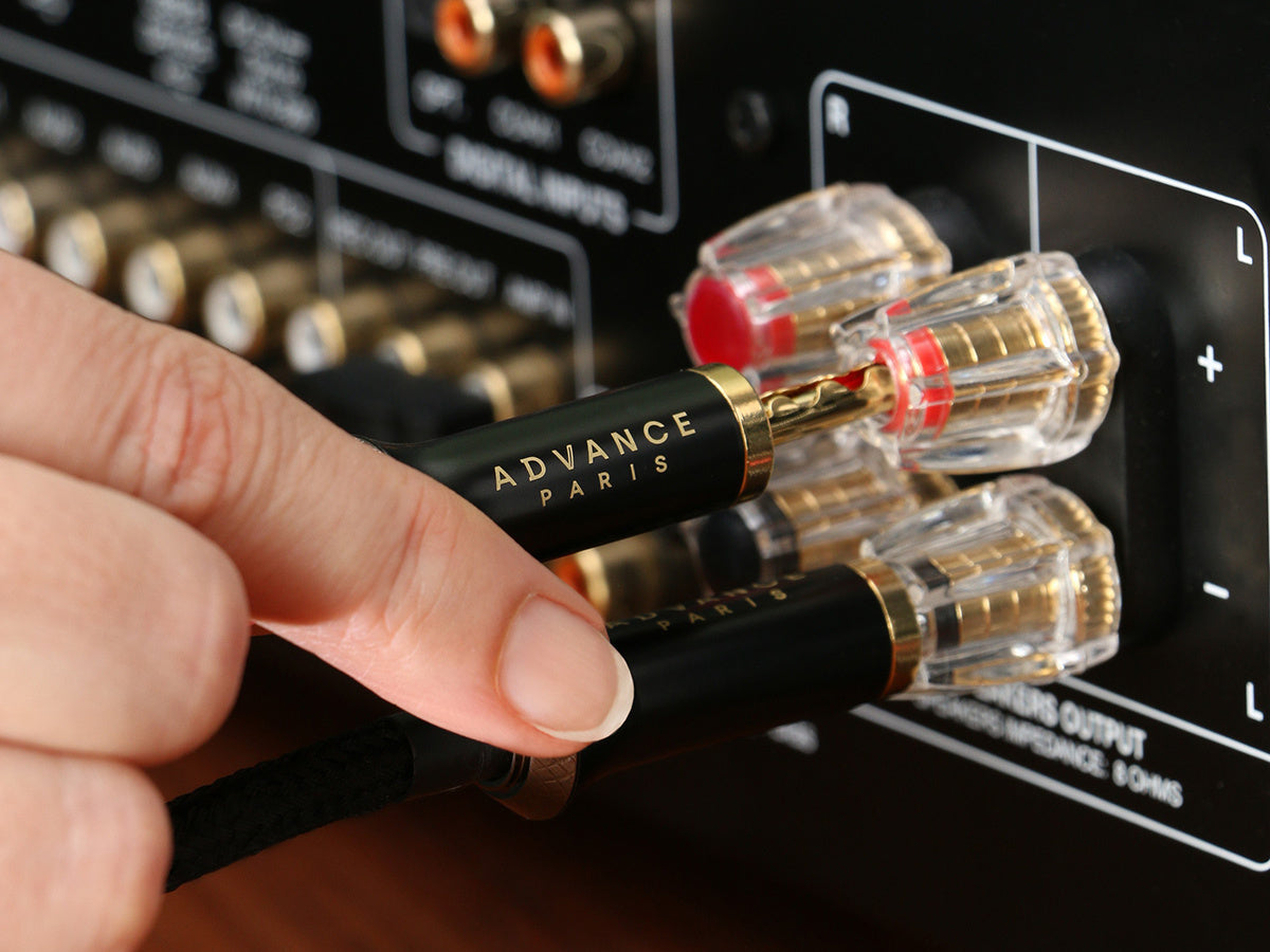 ADVANCE PARIS LINK Speaker