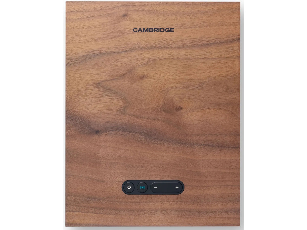CAMBRIDGE L/R X Noyer