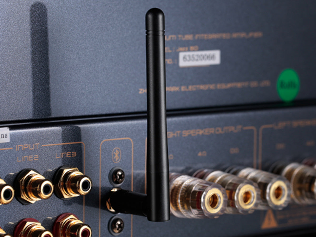 CAYIN JAZZ 80 KT88 Noir detail face arrière