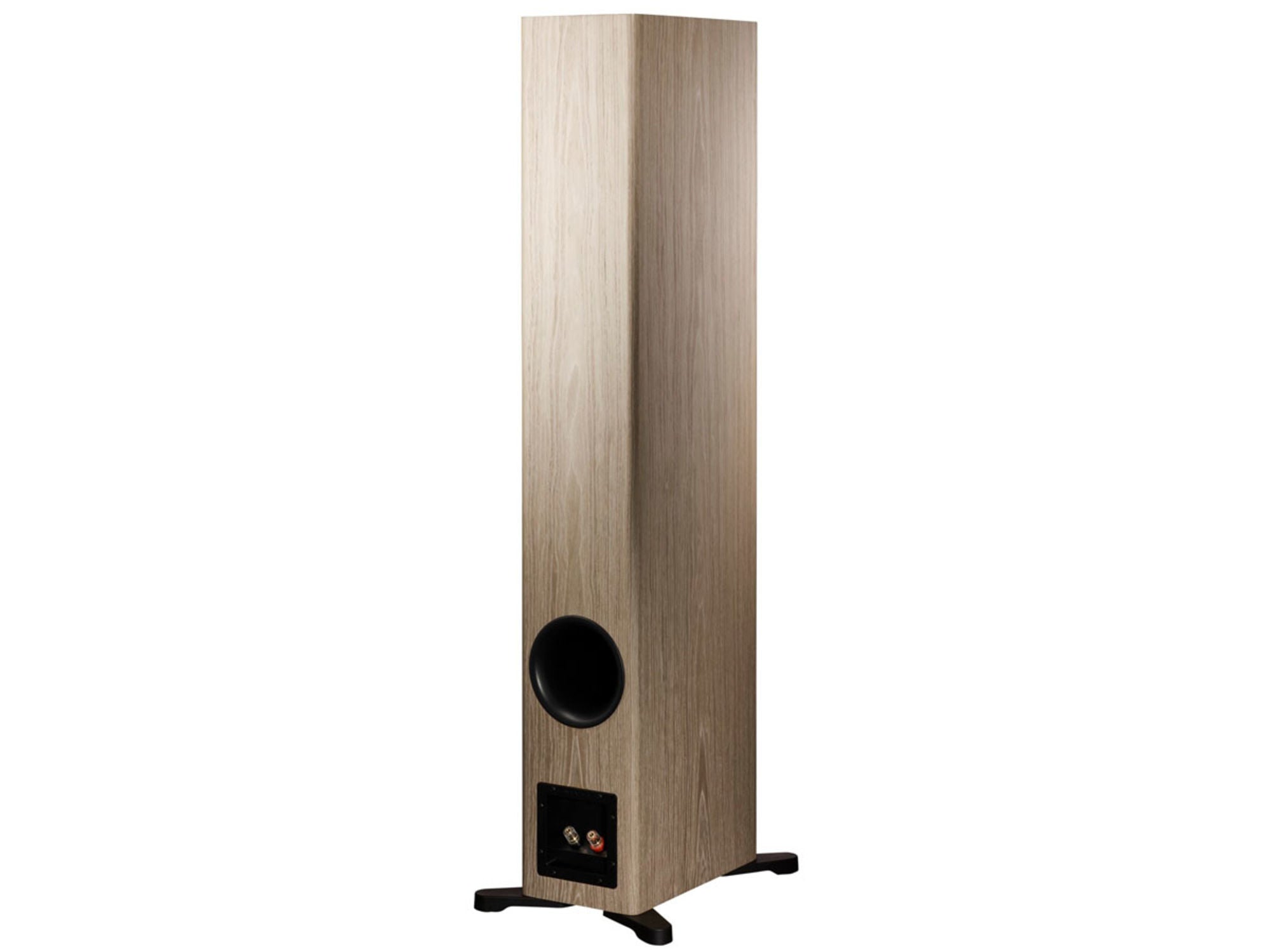 DYNAUDIO EVOKE 50 Blonde Wood (la paire)