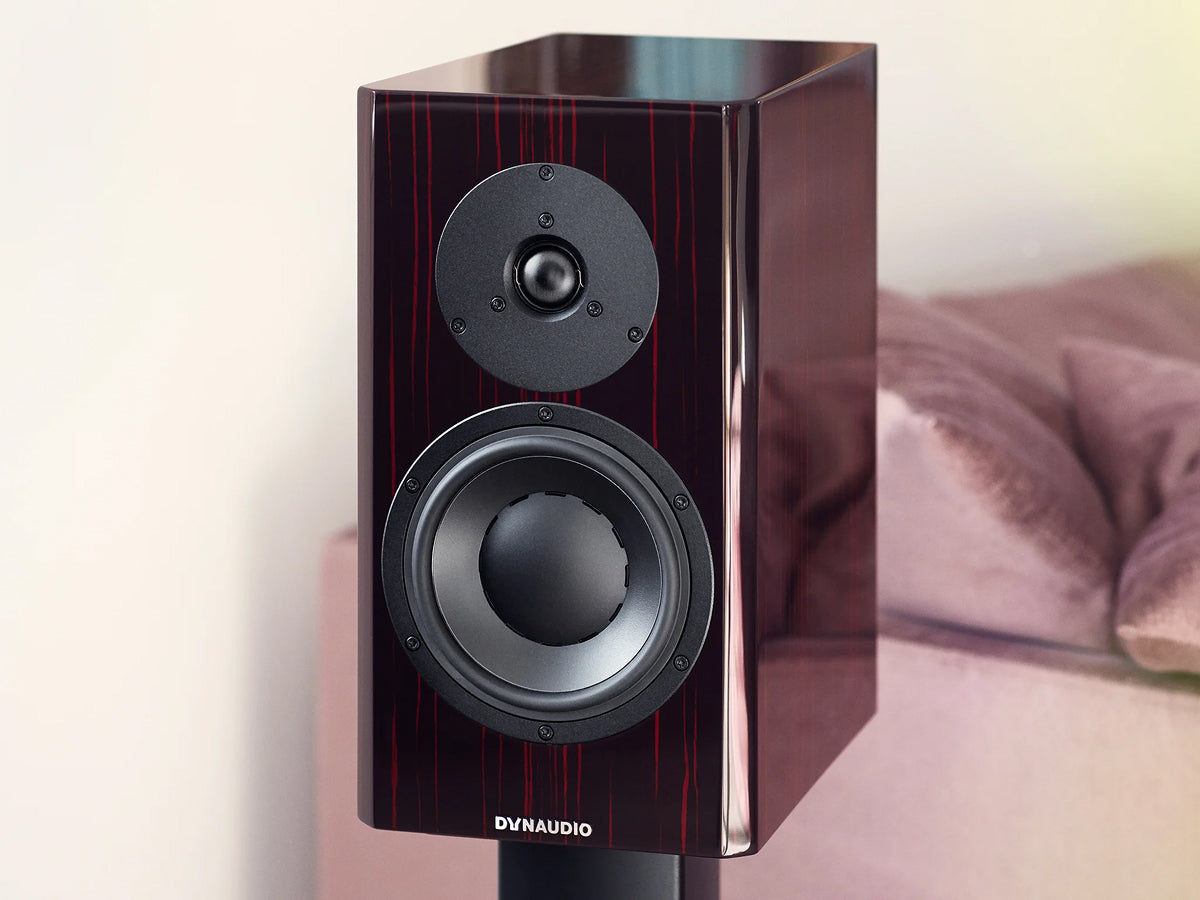 DYNAUDIO SPECIAL FORTY Black Vine lifestyle