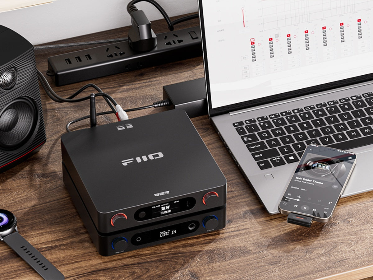 FIIO BR15 R2R Noir