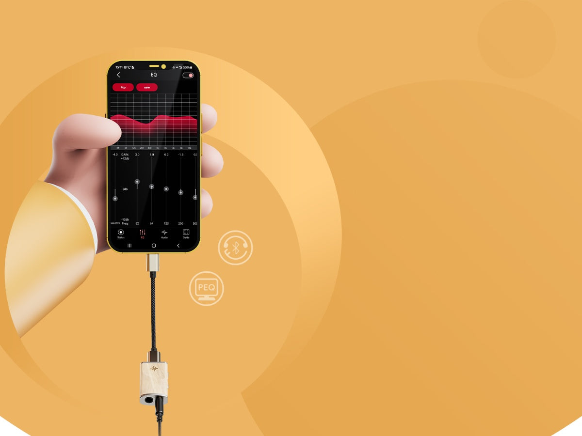FIIO Snowsky Melody