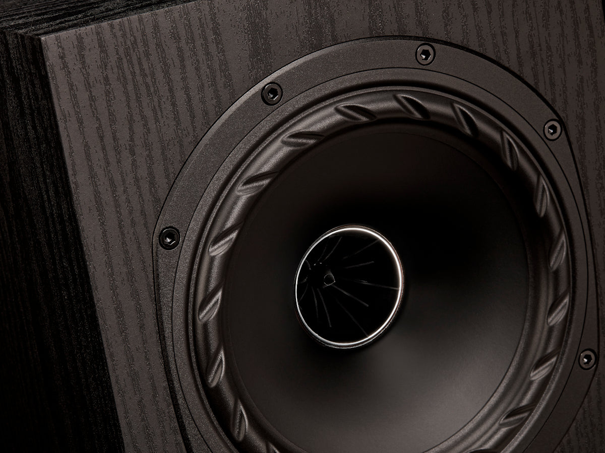 FYNE AUDIO F501E (la paire)