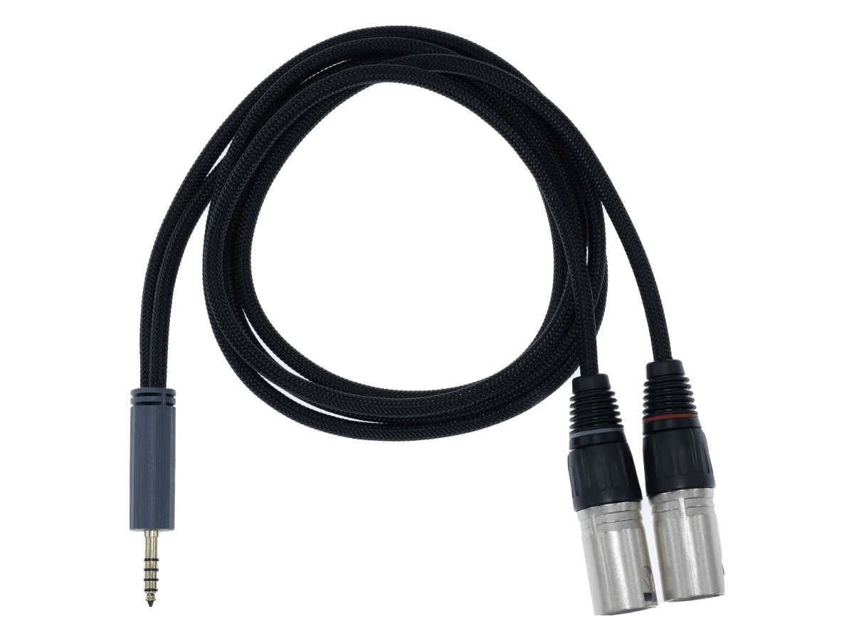 iFi Audio Câble 4.4mm vers XLR Standard Edition