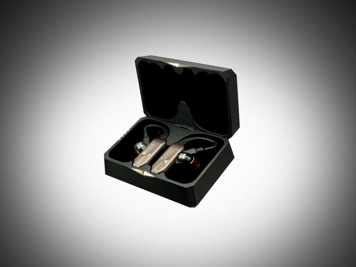 iFi Audio Go Pod Max