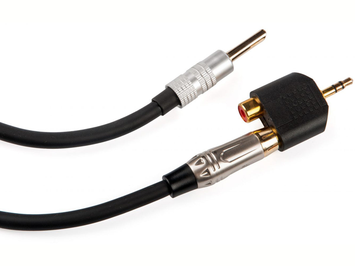 iFi Audio Groundhog+