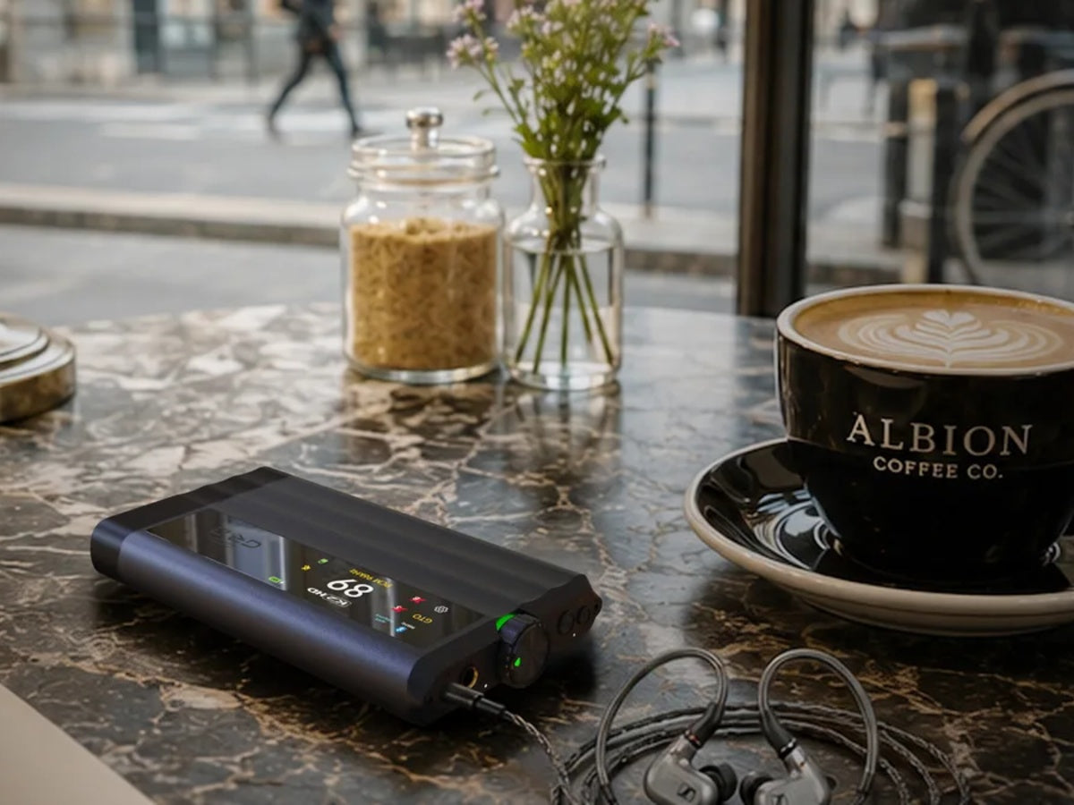 iFi Audio iDSD GR 2