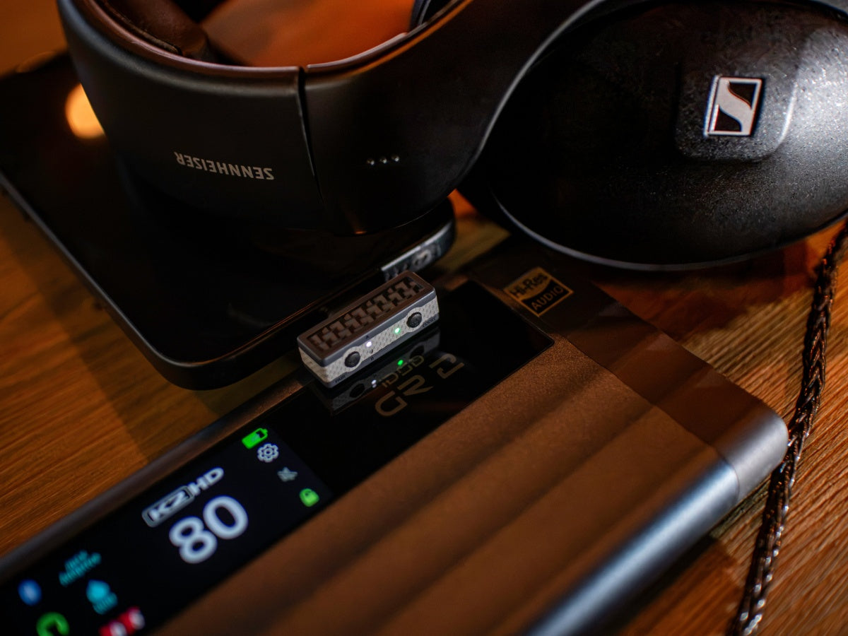 iFi Audio UP Play Max