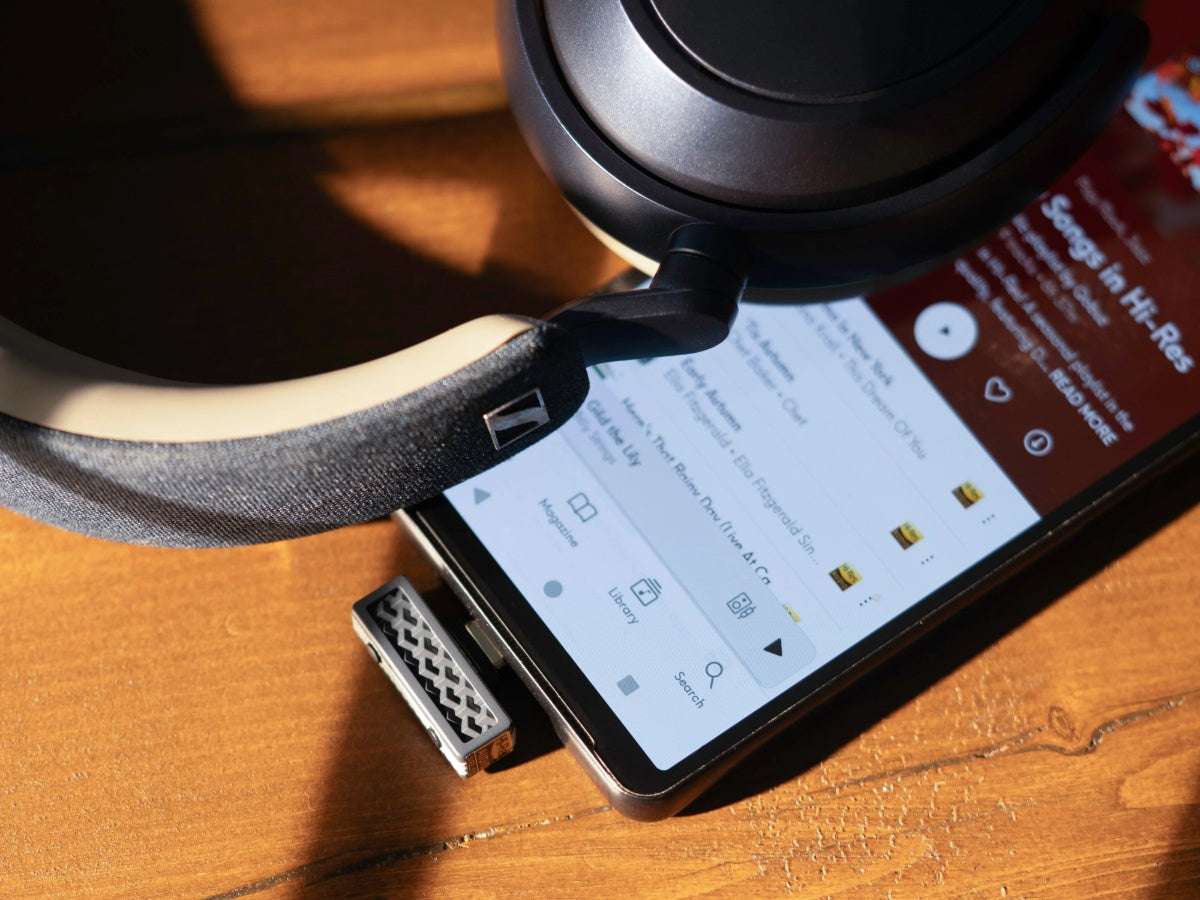 iFi Audio UP Play Max