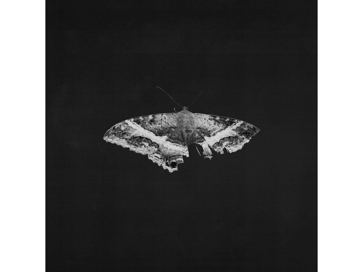 KENDRICK LAMAR - PIMP A BUTTERFLY (ALTERNATIVE SLEEVE)