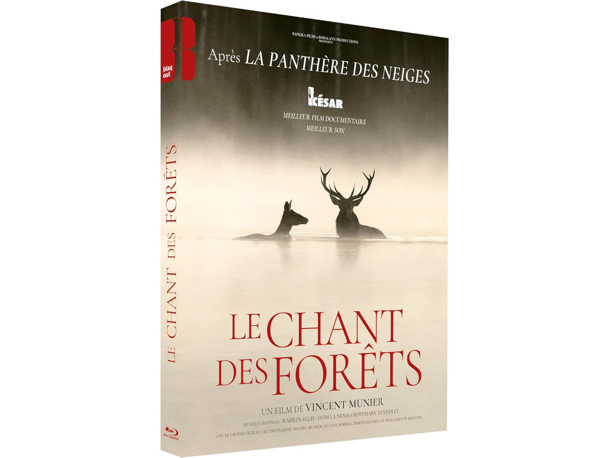 LE CHANT DES FORÊTS