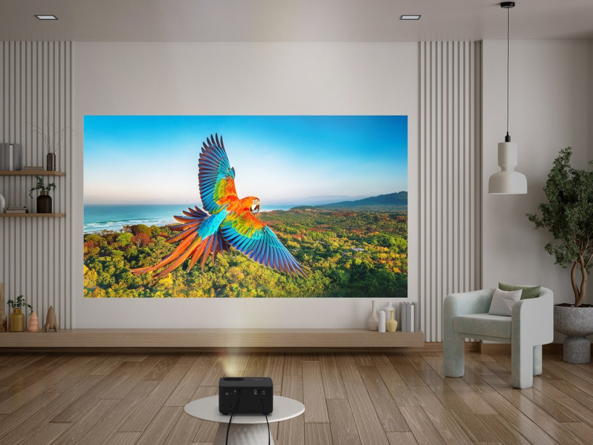 OPTOMA Photon Life PK31