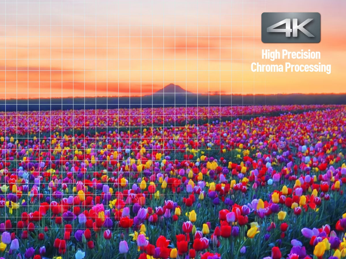 PANASONIC DP-UB9000 AG1