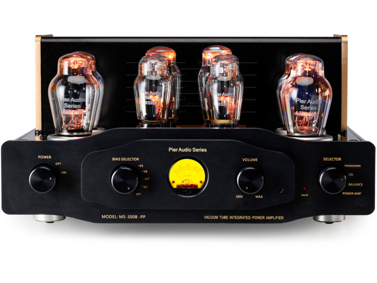 PIER AUDIO MS-300 PP
