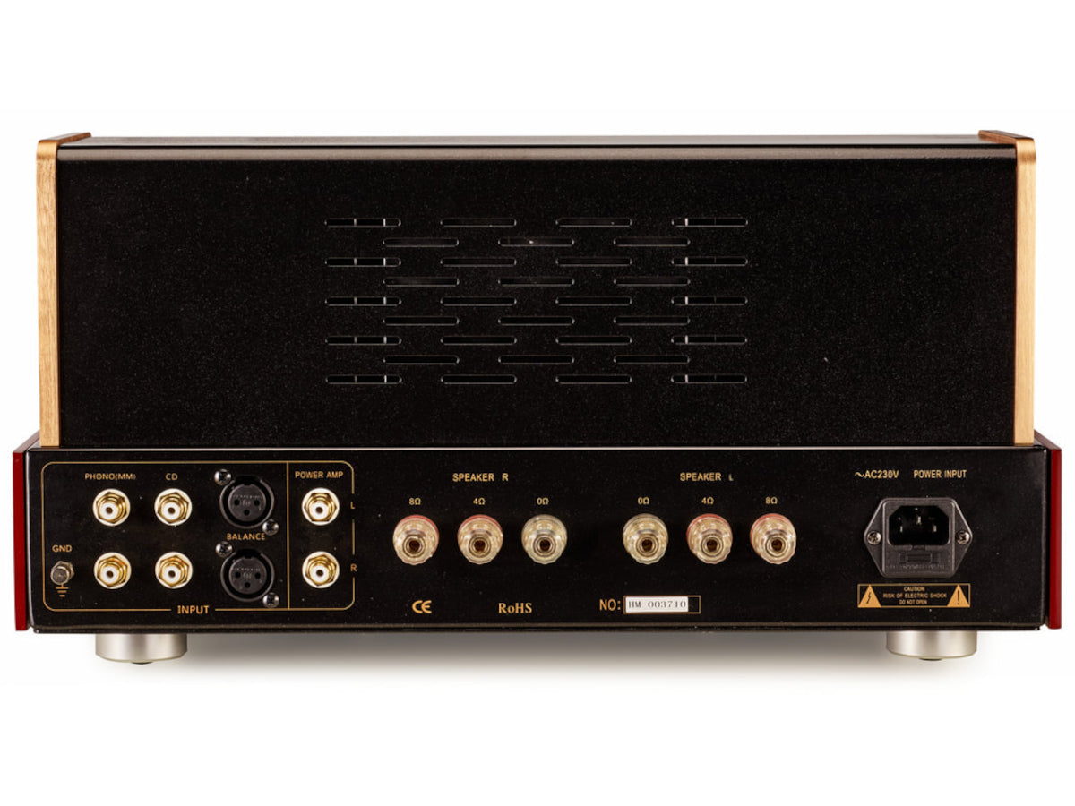 PIER AUDIO MS-300 PP