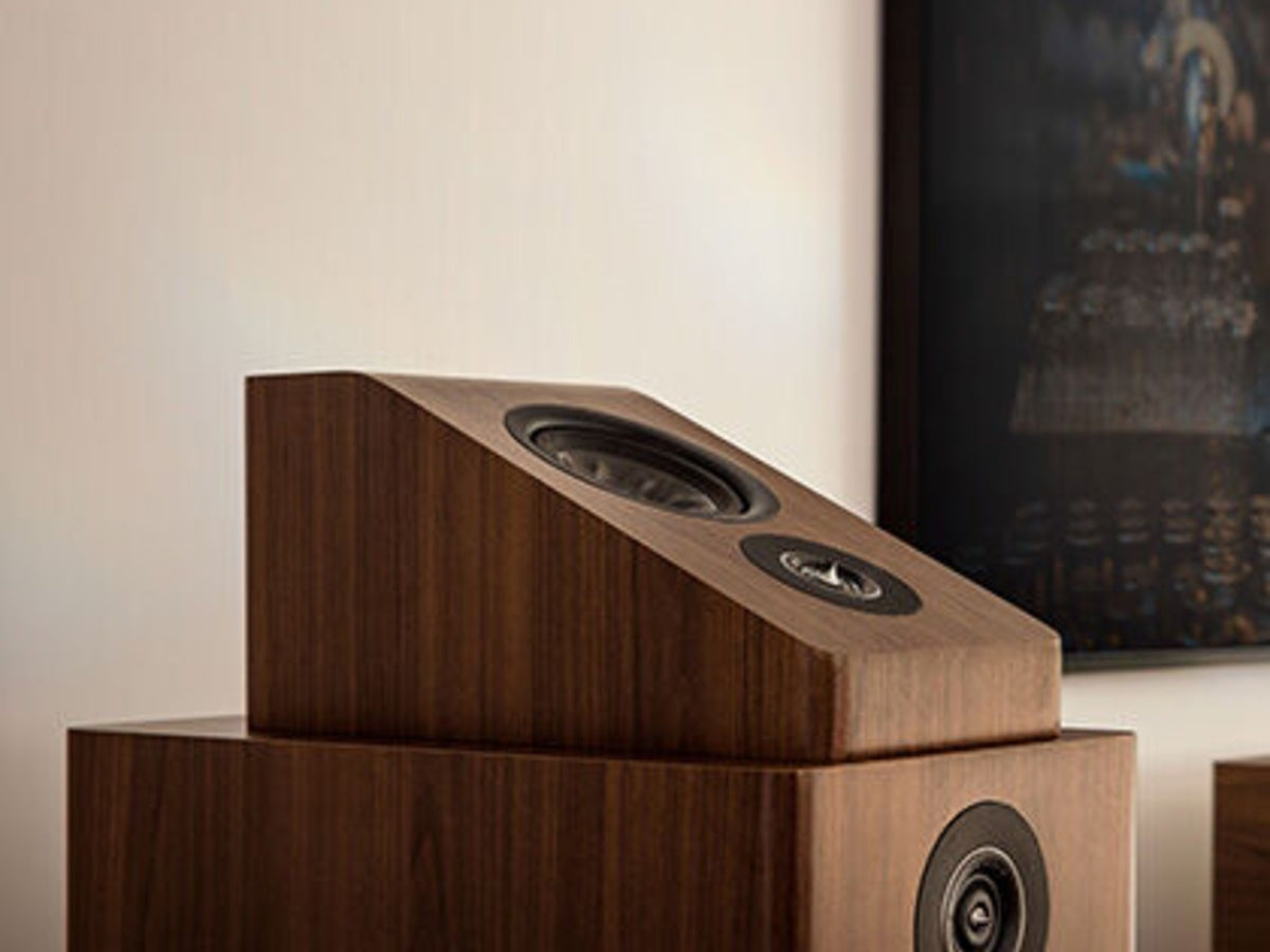 POLK AUDIO Reserve R900 (la paire) Brun
