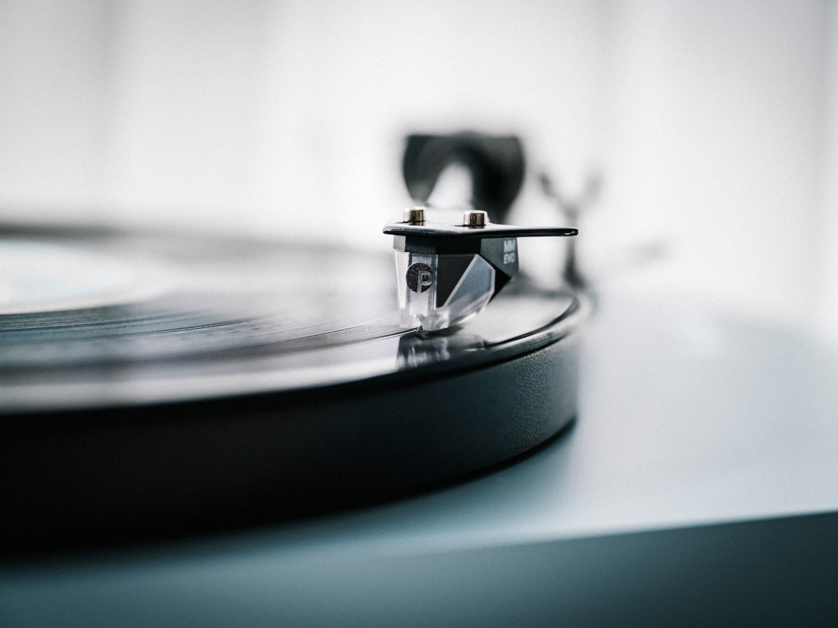 project debut evo 2 bleu polaire 2