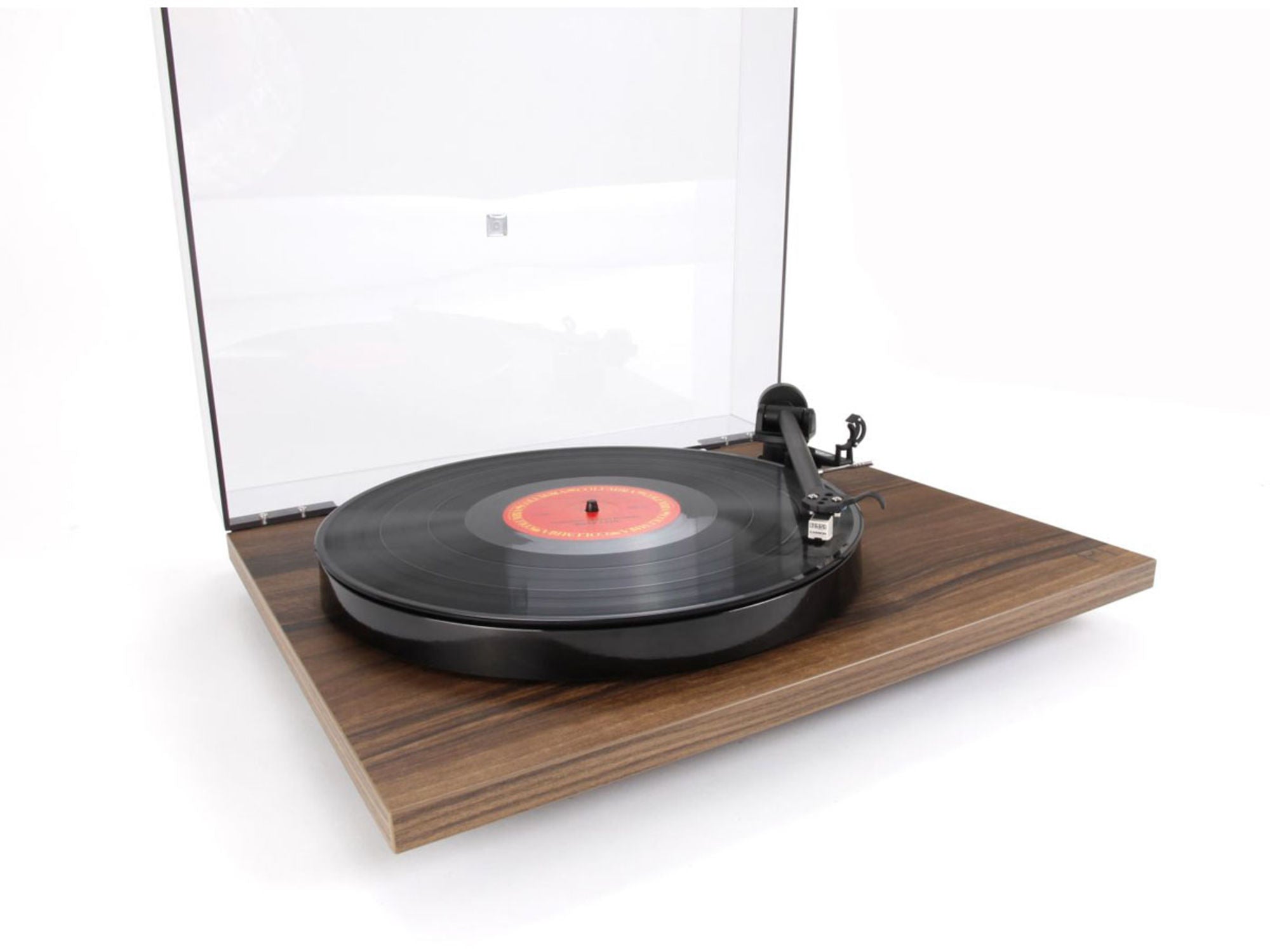 REGA PLANAR 1 Noyer