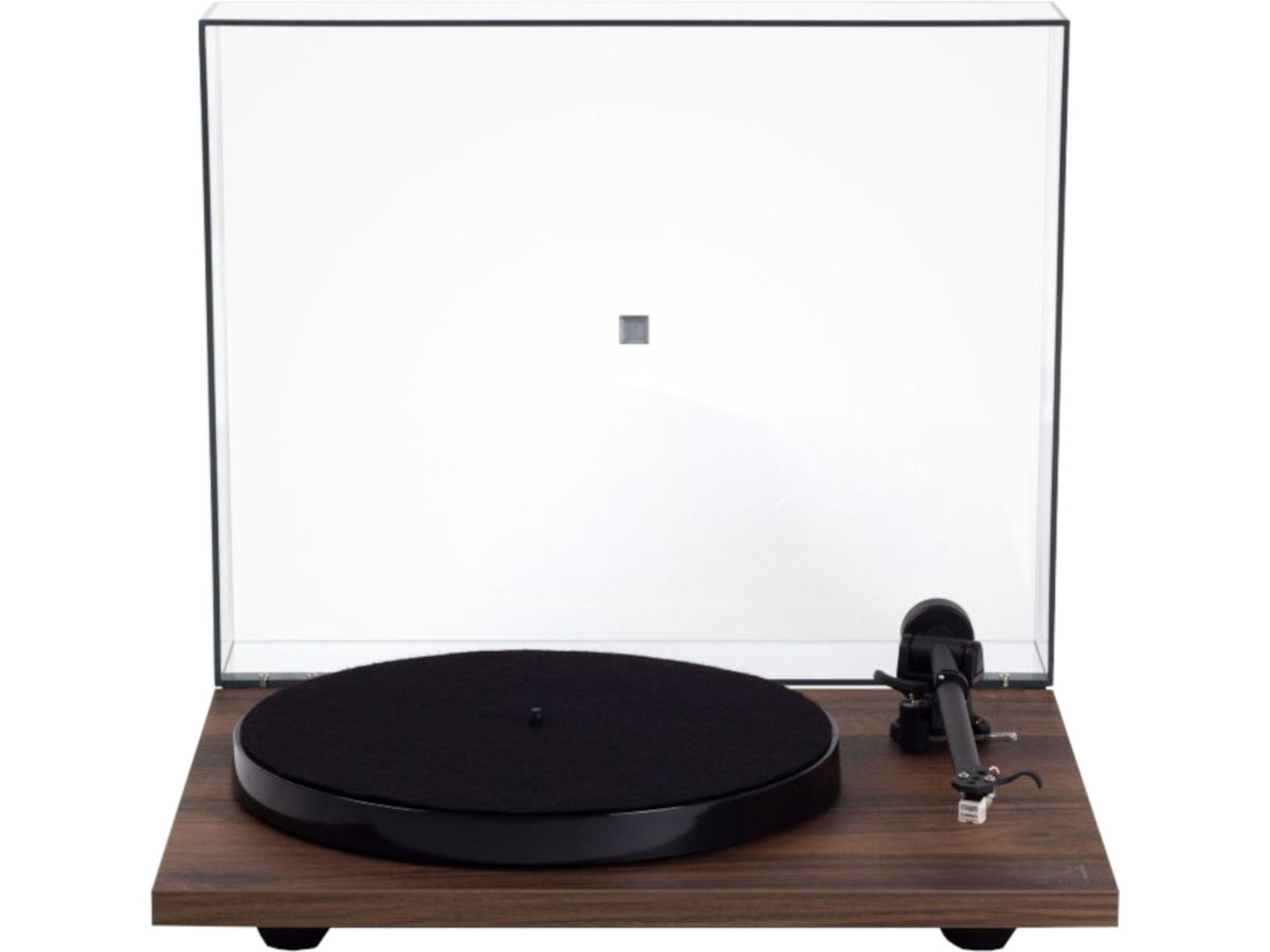 REGA PLANAR 1 PLUS Noyer