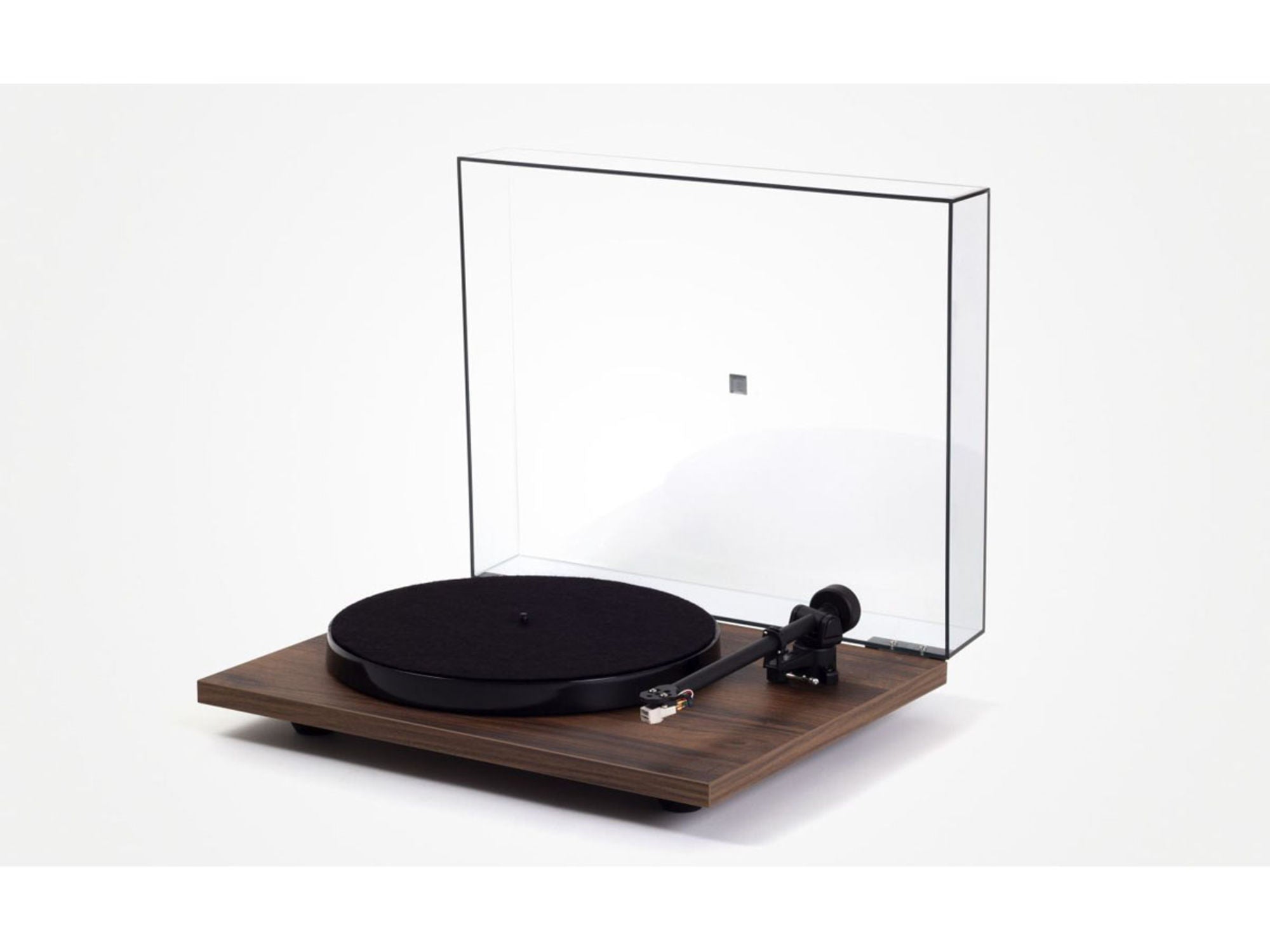 REGA PLANAR 1 PLUS Noyer