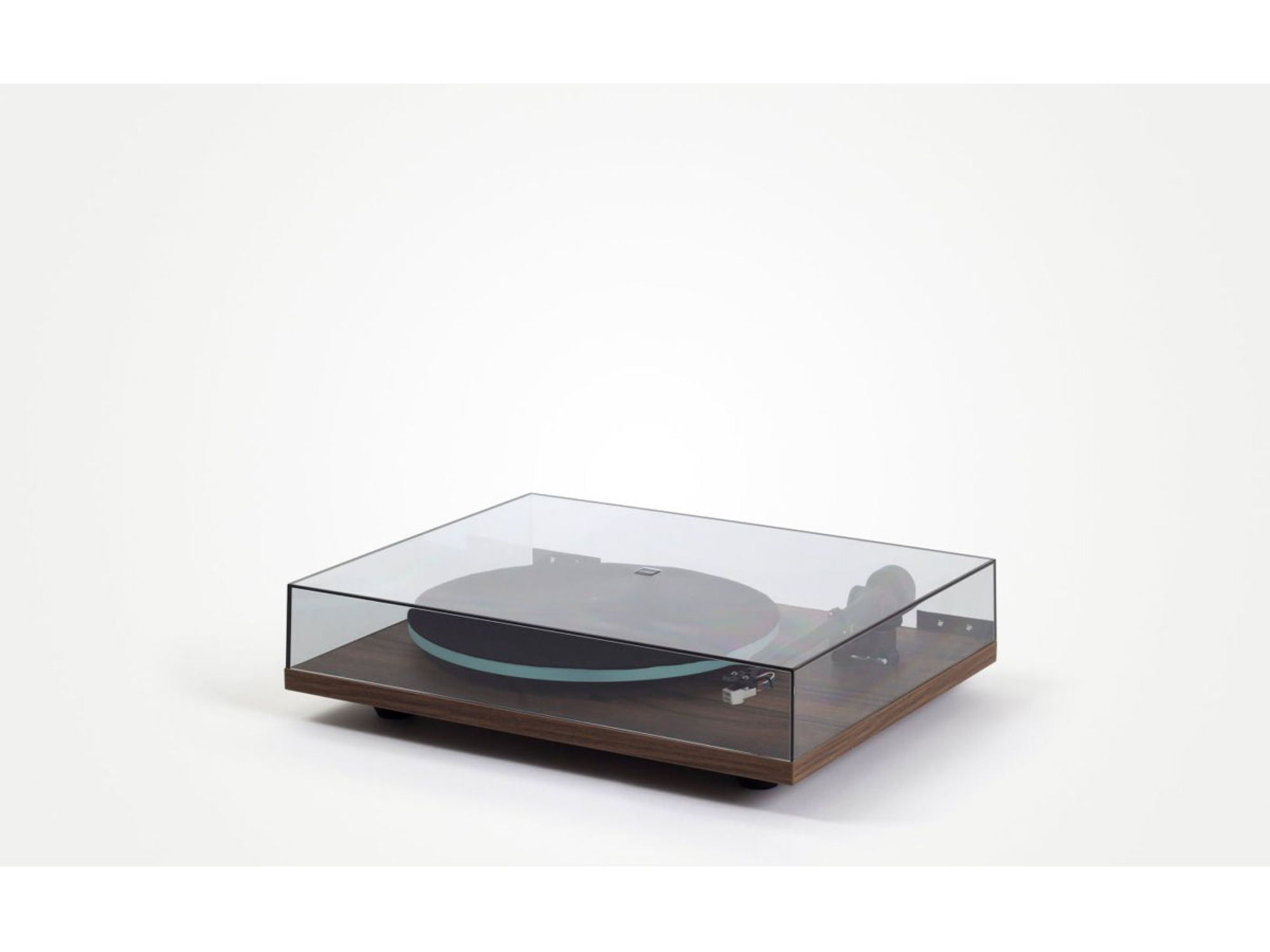 REGA PLANAR 2 Noyer + Cellule CARBON